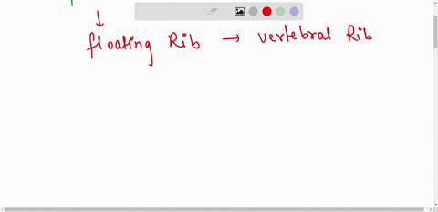 3050-floating-rib-is-anterior-view-ge-od-b-of-47857