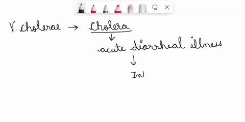 mini-case-012-tycsha-ston-cholera-video-quaatlons-many-different-cholera-types-of-micro-oir-good-nisms-can-disrupt-the-function-of-the-gastrointestinal-vicl-example_-untreated-causing-short-23587