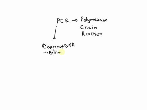 the-polymerase-chain-reaction-a-uses-rna-polymerase-b-takes-place-in-huge-bioreactors-c-uses-a-tem-2-41799