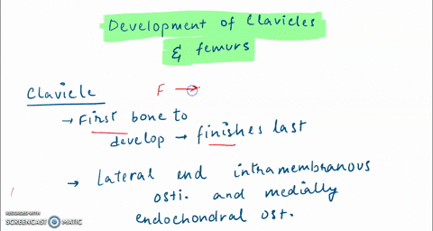 ossification-begins-around-the-sixth-or-seventh-week-of-embryonic-development-and-continues-into-adolescence-describe-how-clavicles-and-femurs-are-formed-via-different-pathways-4-points-pred-47334