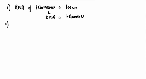 which-of-the-following-statements-about-telomerase-is-true-the-rna-of-telomerase-serves-as-a-template-for-adding-sequence-to-the-end-of-a-chromosome-the-rna-of-telomerase-acts-as-a-primer-fo-17066