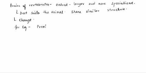 what-general-trends-can-you-identify-in-the-evolution-of-the-vertebrate-brain-2-19384