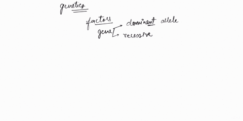 in________genes-one-allele-is-dominant-and-the-other-is-recessive-21824