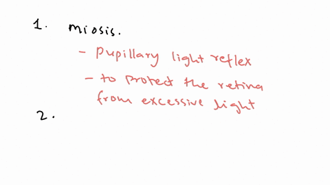 1-what-is-the-papillary-response-of-the-right-eye-when-a-light-was-shone-into-the-pupil-2-what-is-the-consensual-response-the-response-of-the-left-eye-3-what-branch-of-the-nervous-system-controls-this