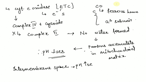 34-cyanide-inhibits-the-electron-transport-chain-by-competing-with-02-molecules-for-the-cytochrome-oxidase-heme-group-carbon-monoxide-co-has-a-similar-effect-both-cyanide-and-co-cause-poison-68806