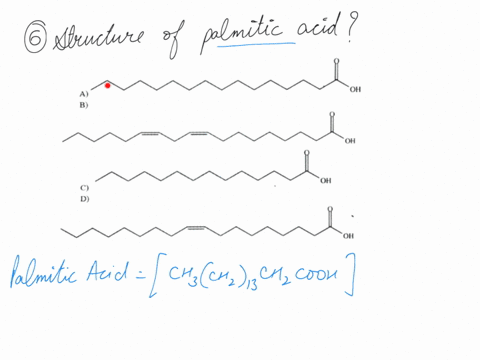 what-designation-best-describes-the-polyunsaturated-fatty-acid-shown-below-omega-3-acid-b-omega-acid-ornega-9-acid-omega-acid-what-1s-the-structure-of-palmitic-acid-oh-oh-oh-oh-the-compound-00404