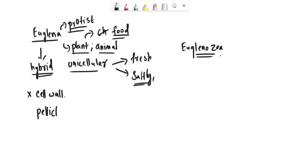 SOLVED A euglena is a that can either make its own food
