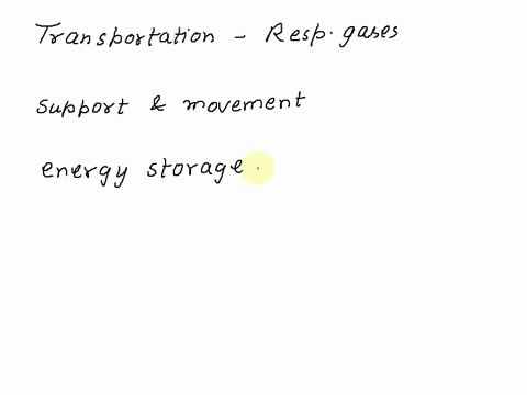 match-the-type-of-connective-tissue-with-the-correct-function_-some-will-have-more-than-one-answer-transportation-of-respiratory-gases_-nutrients_-and-waste-products-bone-support-and-hematop-35376