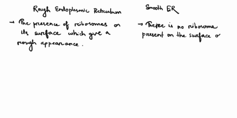 what-are-the-two-types-of-endoplasmic-reticulum-explain-their-structure-and-function-briefly-30298