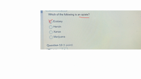 which-of-the-following-is-an-opiate-ecstasy-heroin-xanax-marijuana-question-13-1-point