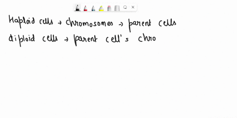 what-is-haploid-and-diploid-as-they-apply-to-the-number-of-chromosomes-in-cells-12-what-is-synapsis-homologous-recombination-and-crossing-over-are-and-during-what-stages-of-meiosis-they-occu-30006
