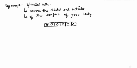 which-epithelial-cell-junctions-serve-to-seal-neighboring-cells-together-so-that-water-soluble-molecules-cannot-easily-leak-between-them-choose-one-tightjunctions-b-adherens-junctions-gap-ju-35975