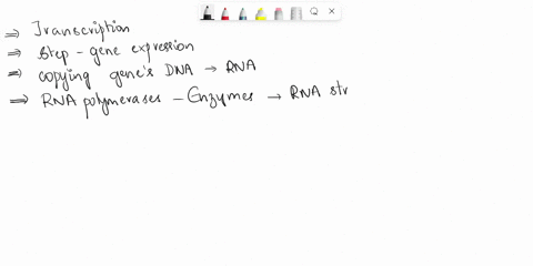 question-18-when-transcription-occurs-dna-is-and-the-process-is-catalyzed-by-an-enzyme-called-this-is-the-first-major-step-in-gene-expression-creating-functional-product-from-a-gene-copied-t-21691