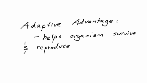 in-our-evolutionary-past-there-would-have-been-an-adaptive-advantage-to-all-of-the-following-except-being-able-to-detect-someones-race-being-able-to-detect-whether-someone-is-kin-being-able-to-detect-