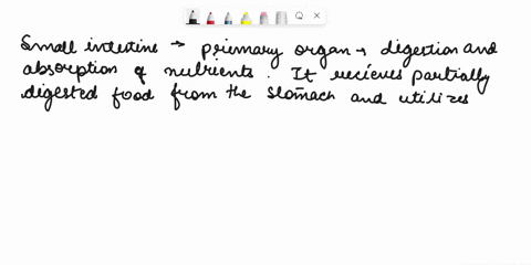 question-1-which-organ-does-most-of-the-digestion-and-absorption-of-nutrients-in-humans-large-intestine-small-intestine-stomach-liver-42536