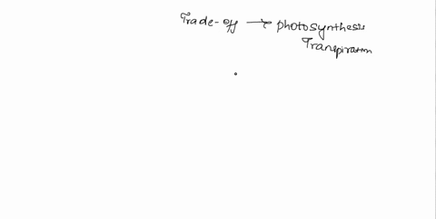 there-is-a-trade-off-between-photosynthesis-and-transpiration-in-leaves-because-a-numerous-stomata-4-87033