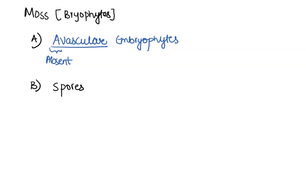 SOLVED 11 Seedless Vascular Plants When did they evolve? Which is the