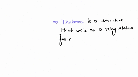 the-_____-acts-as-a-sensory-relay-station-for-signals-arriving-from-sensory-receptors-that-are-being-sent-to-the-cortex-pituitary-pons-thalamus-hypothalamus
