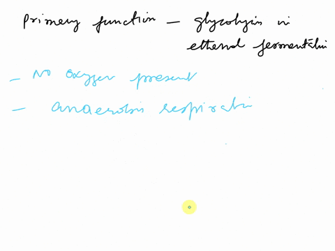 what-is-the-primary-function-of-the-reactions-that-follow-glycolysis-in-ethanol-fermentation-89717