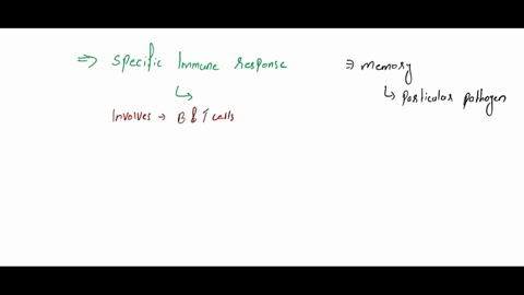 the-specific-immune-response-is-the-second-ilne-of-defense-after-anatomical-and-chemical-barriers-involves-memary-of-antigens-from-prevlous-exposure-is-the-first-iine-of-defense-in-the-immun-59137