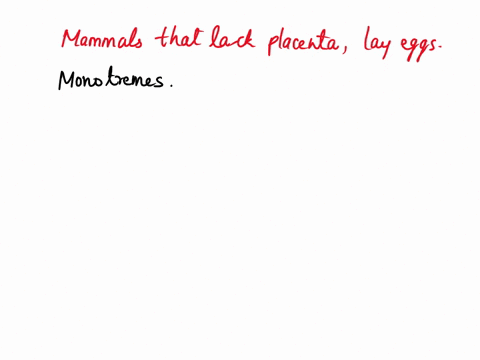 which-of-these-is-the-mammal-group-that-lays-eggs-and-lacks-a-placenta-tunicates-primates-marsupials-monotremes-eucharlans-98376