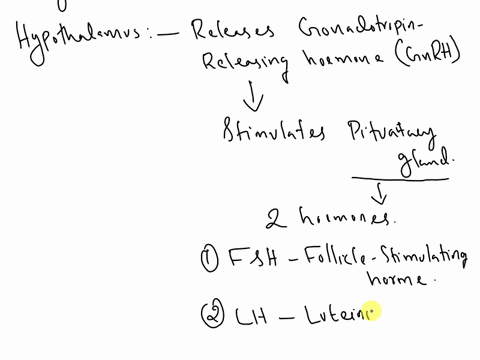how-do-the-hormones-released-by-the-hypothalamus-pituitary-and-follicle-of-the-ovary-participate-in-a-negative-feedback-system-87203