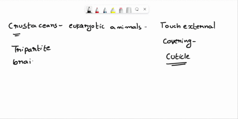 crustaceans-are-_____-a-ecdysozoans-b-nematodes-c-arachnids-d-parazoans-34317