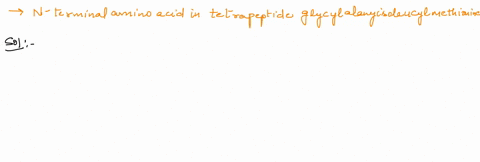 question-18-1-point-what-is-the-n-terminal-amino-acid-in-the-tetrapeptide-glycylalanyisoleucylmethionine-1-alanine-2-glycine-3-methionine-isoleucine-59626