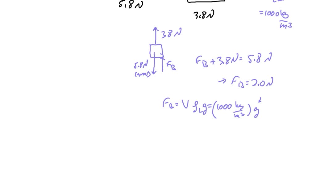 SOLVED 3) Using the calculated weight and buoyant force, calculate the