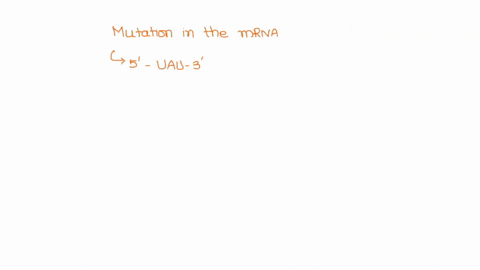 question-25-a-mutation-in-the-mrna-for-the-protein-chymotrypsin-results-in-a-codon-sequence-of-5-uau-3-instead-of-3-uac-5-which-of-the-following-aberrations-in-protein-synthesis-might-this-m-11561