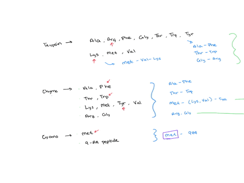 a-protein-biochemist-attempted-to-determine-the-amino-acid-sequence-of-a-decapeptide-use-the-results-from-the-trypsin-chymotrypsin-and-cyanogen-bromide-treatments-to-suggest-the-amino-acid-s-49008