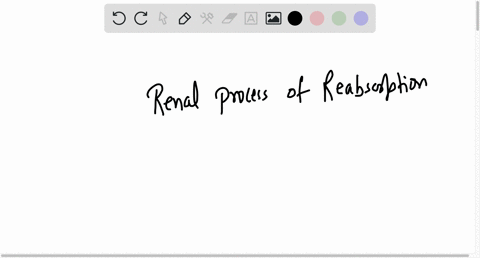 which-statement-best-describes-renal-process-of-reabsorption-multiple-choice-substances-move-from-glomerular-capillaries-into-bowmans-capsule-substances-move-from-the-nephron-lumen-into-glom-88136