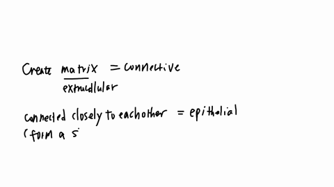 choose-whether-each-statements-describes-a-connective-tissue-an-epithelial-tissue-both-or-neither-creates-a-matrix-on-the-outside-of-a-cell-cells-connected-closely-to-other-cells-checkmark-choose-neit