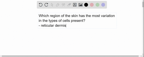 which-of-the-following-regions-of-the-skin-contains-the-greatest-variation-in-the-types-of-cells-present-epidermis-papillary-layer-of-the-dermis-reticular-layer-of-the-dermis-hypodermis-91963
