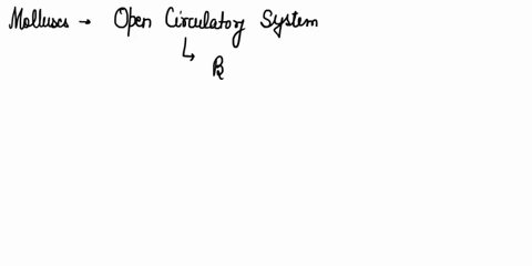 which-type-of-circulatory-system-do-molluscs-have-how-can-it-be-compared-to-the-respiratory-system-of-annelids-44822