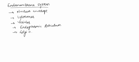 1-what-structure-is-not-part-of-the-endomembrane-systemselect-onea-lysosomesb-golgi-apparatusc-plasma-membraned-nuclear-envelopee-mitochondria2-which-structure-is-common-to-plant-and-animal-63016