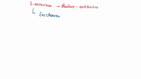 why-is-s-cerevisiae-resistant-to-antibiotics-including-penicillin-kanamycin-gentamicin-ampicillin-tetracycline-neomycin-streptomycin-and-chloramphenicol-51569