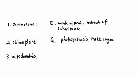 quertion-completion-status-match-the-part-of-the-plant-cell-with-its-structure-and-function-begintabularcc-hline-chromosomes-begintabularl-a-structure-of-rna-and-protein-functions-in-tranalation-endt