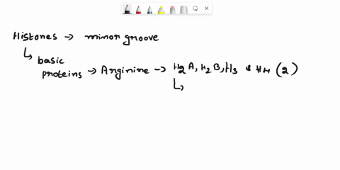 why-histones-bind-to-the-minor-groove-not-major-groove-of-the-dna-31796