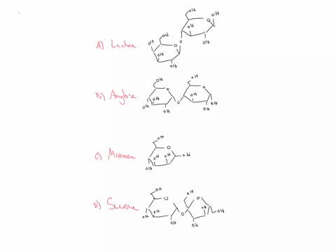 which-of-the-following-carbohydrates-does-not-contain-at-least-one-glycosidic-linkage-57808