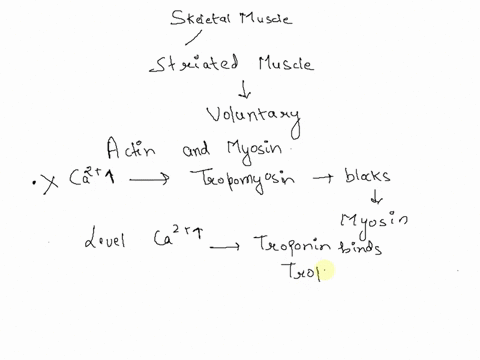 which-of-the-following-is-a-correct-statement-about-skeletal-muscle-contraction-at-high-ca2-the-myosin-binding-sites-on-actin-are-blocked-by-tropomyosin-all-of-the-above-are-true_-an-increas-82046