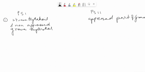 1-what-is-the-difference-between-photosystem-ii-and-photosystem-i-2-explain-non-cyclic-electron-flow-and-what-is-produced-3-explain-cyclic-electron-flow-and-what-is-produces-4-explain-the-3-03825
