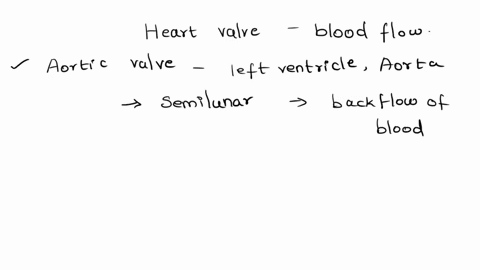 describe-each-type-of-heart-valveand-describe-where-it-is-located-in-the-heart-located-setween-valve-type-of-valveav-orsemilunar-aortic-mitral-pulmonary-tricuspid-11413