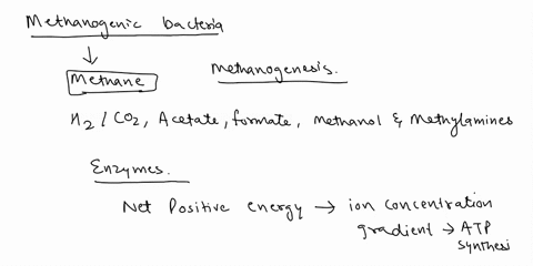 methanogenic-bacteria-members-of-the-archaea-use-hz-and-choh-as-an-energy-source-and-produce-ch-and-ho-the-addition-of-electrons-from-hydrogen-to-methanol-in-aqueous-solution-will-turn-it-in-32197