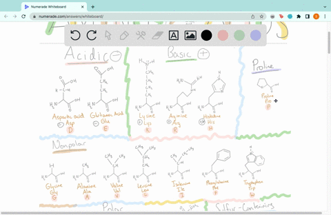 which-two-of-the-following-amino-acids-have-a-side-chain-r-group-that-is-most-likely-to-be-located-in-the-hydrophobic-core-of-a-globular-protein-not-contacting-water-make-two-choices-serine-36508