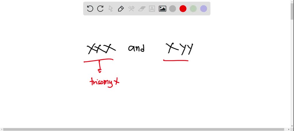 Xxxx Siex Video - SOLVED: Which, if any, of the following sex-chromosome aneuploids in humans  are fertile: XXX, XXY, XYY, XO?