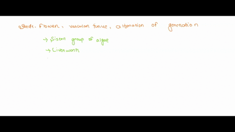 phylogenetic-tree-of-plants-8-seds-j-hornworts-mosses-ferns-l-spes-nalad-covd-flowers-47-fev1tz-seeds-non-vascular-vascular-tissue-true-plants-4-they-roots-don-t-have-stems-vascular-leaves-t-53534