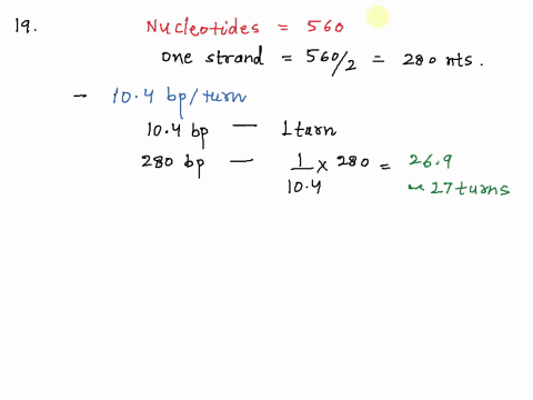19-a-double-stranded-dna-molecule-contains-560-nucleotides-how-many-complete-turns-would-be-found-in-this-double-helix-20-what-will-be-the-length-in-nm-of-the-molecule-described-in-problem-1-56666