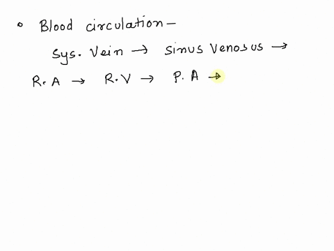 identify-the-correct-sequence-for-blood-flow-through-the-heart-right-atrium-coronary-sinus-right-ventricle-pulmonary-valve-right-ventricle-through-pulmonary-valve-pulmonary-trunk-pulmonary-a-32494