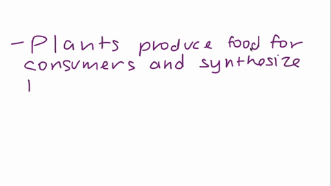 plants-use-the-process-of-photosynthesis-to-convert-the-energy-in-sunlight-to-chemical-energy-in-the-69547